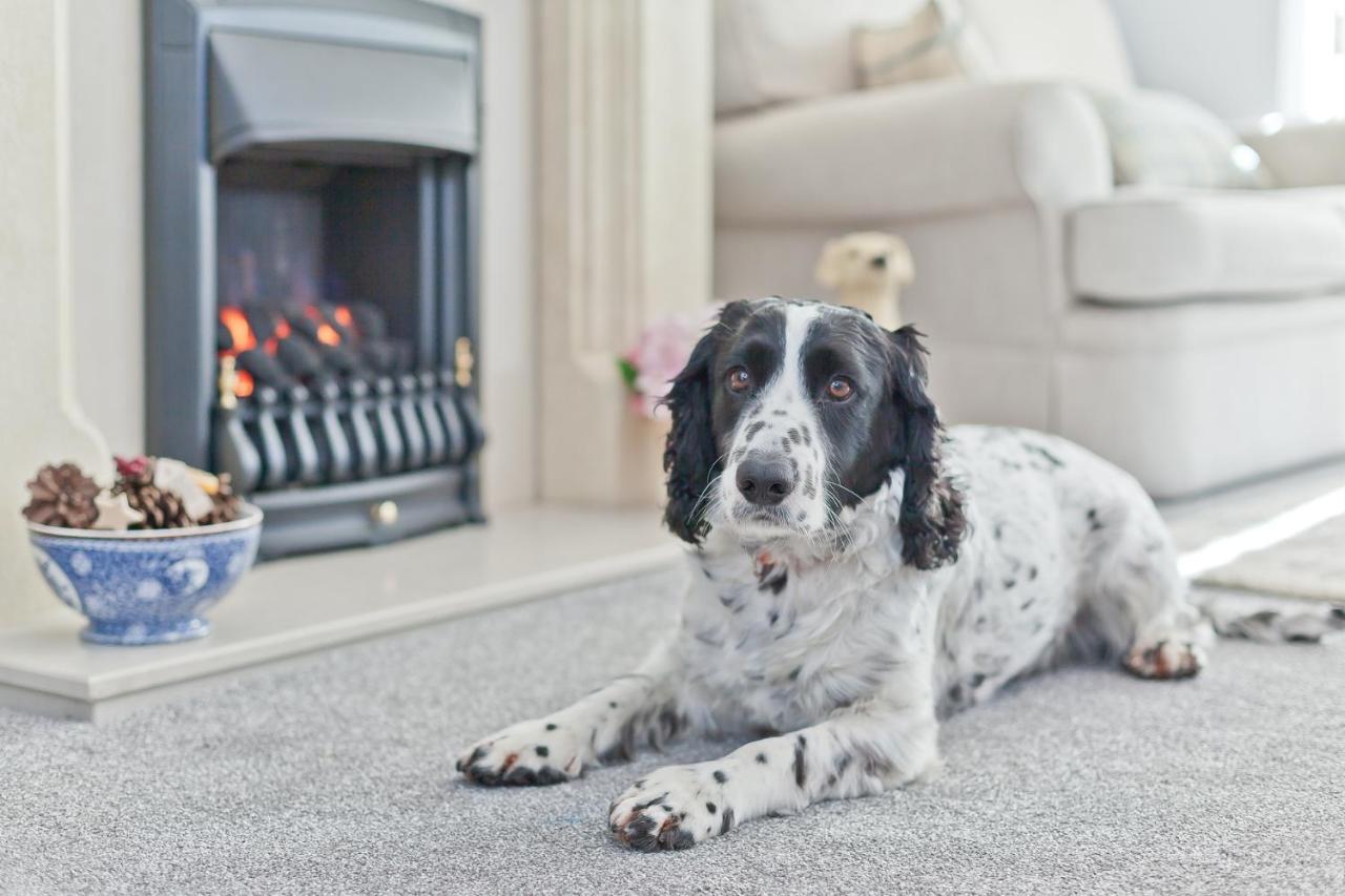 Kents Bank Holiday - Pet Friendly With Bay Views Grange-over-Sands Екстер'єр фото
